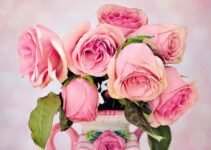 Online Dating Advantages for the LGBTQ+ Community