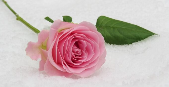 Online dating sites can be a useful tool to help people find long-term relationships